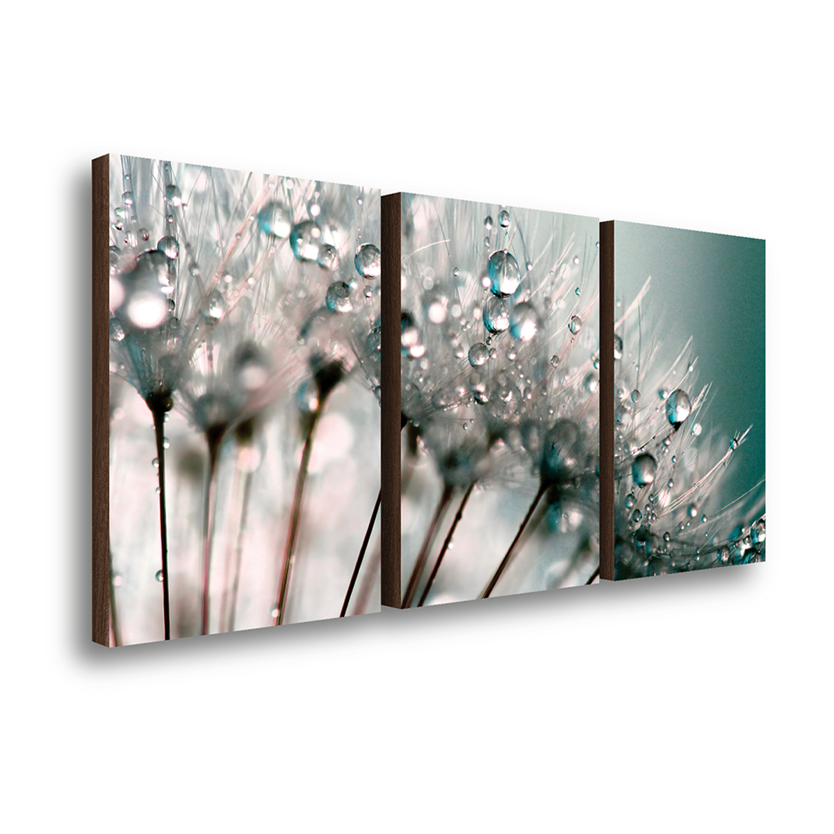 kit 3 quadros decorativos dente de leao 40x60cm