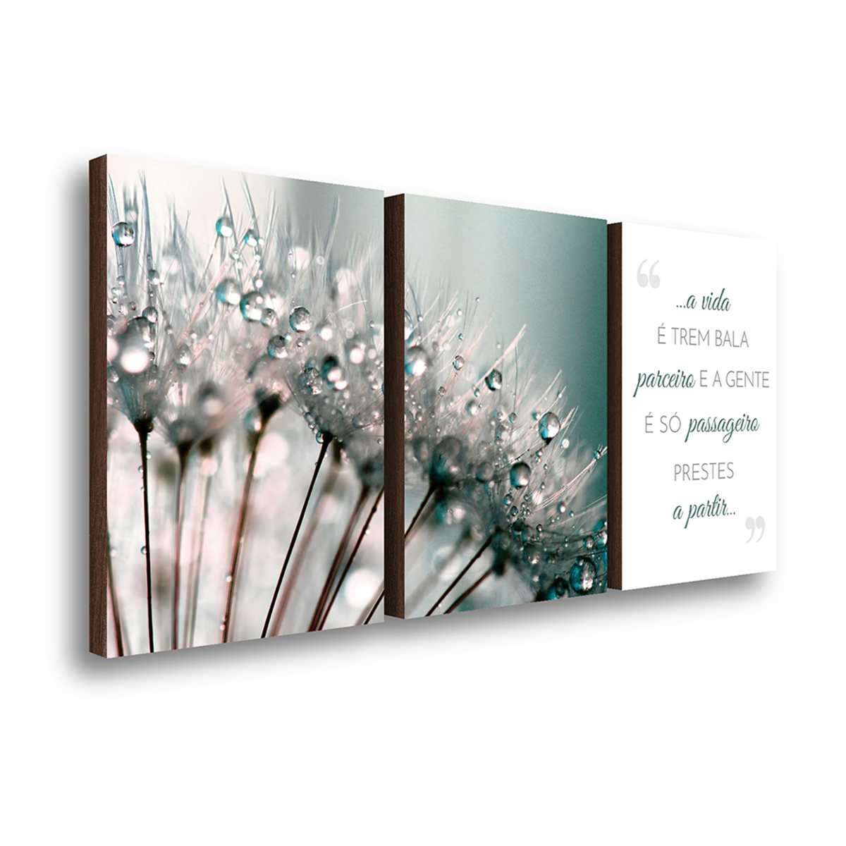 kit 3 quadros decorativos dente de leao frase familia 40x60cm