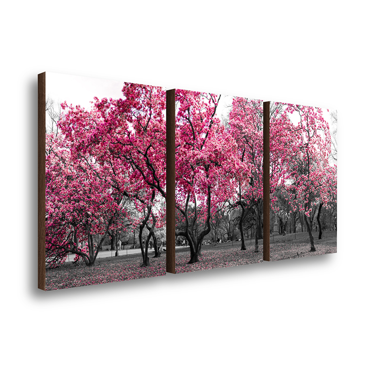 kit 3 quadros decorativos arvores ipe rosa 40x60cm