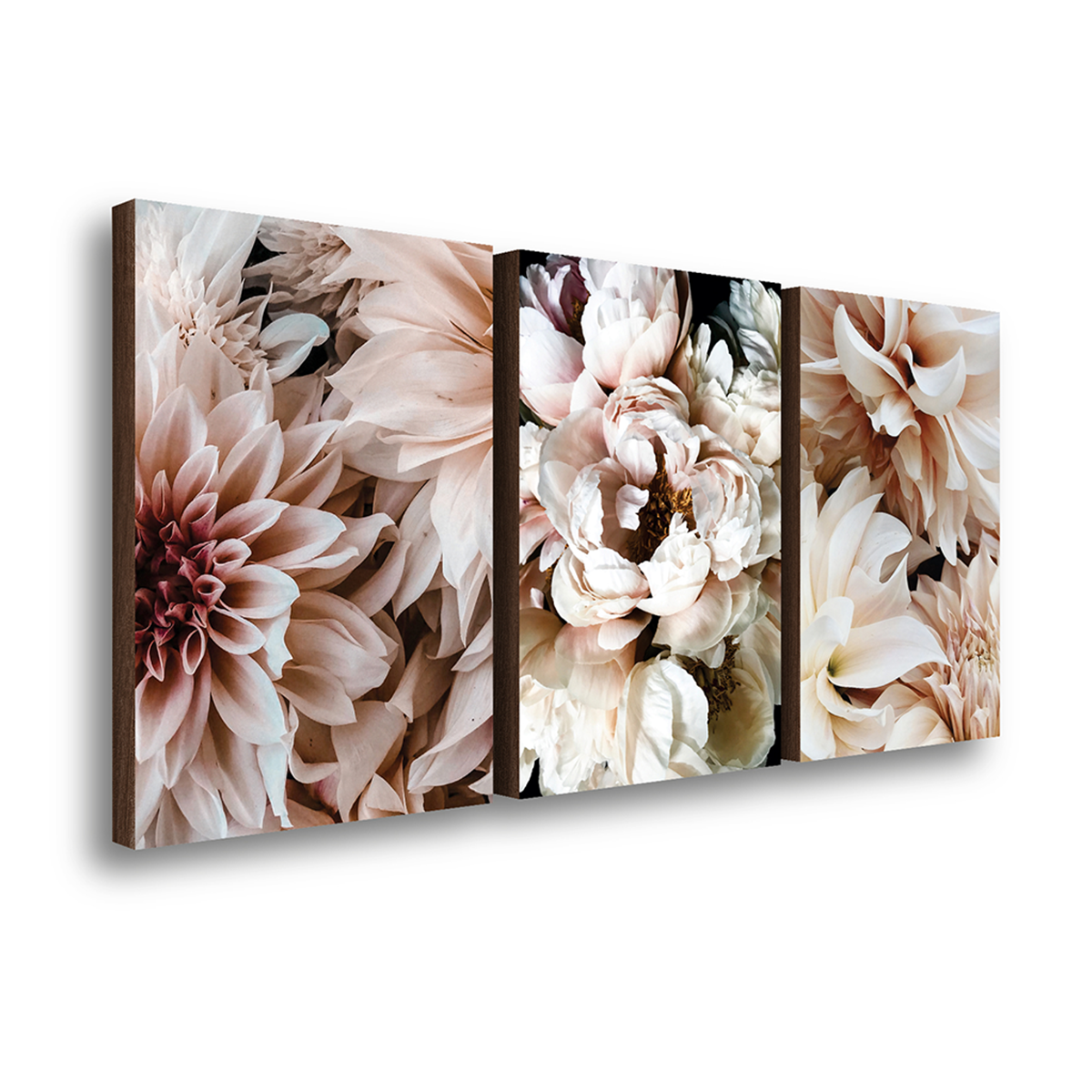 kit 3 quadros decorativos flores peonia rosa 40x60cm