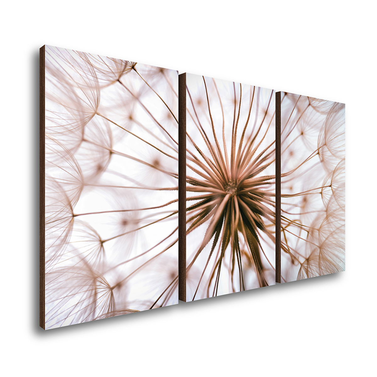 kit 3 quadros decorativos dente de leao 50x90cm