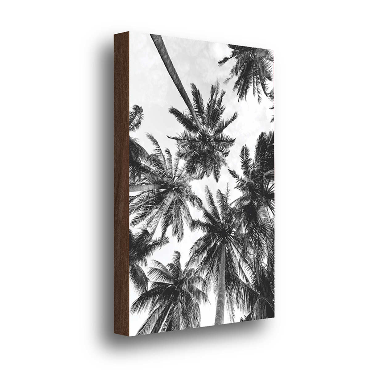 quadro decorativo coqueiros preto e branco 40x60cm