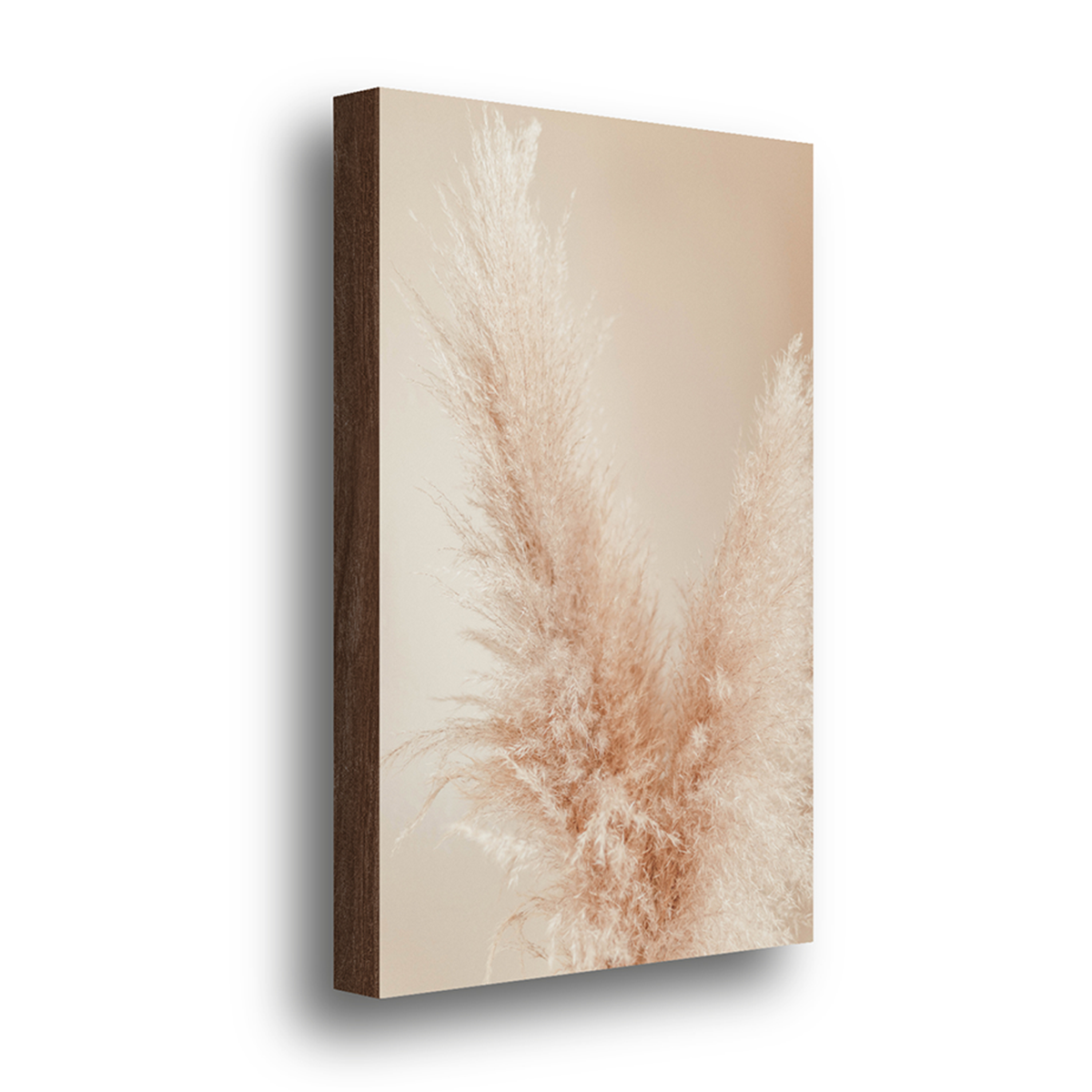 quadro decorativo capim dos pampas nude 40x60cm