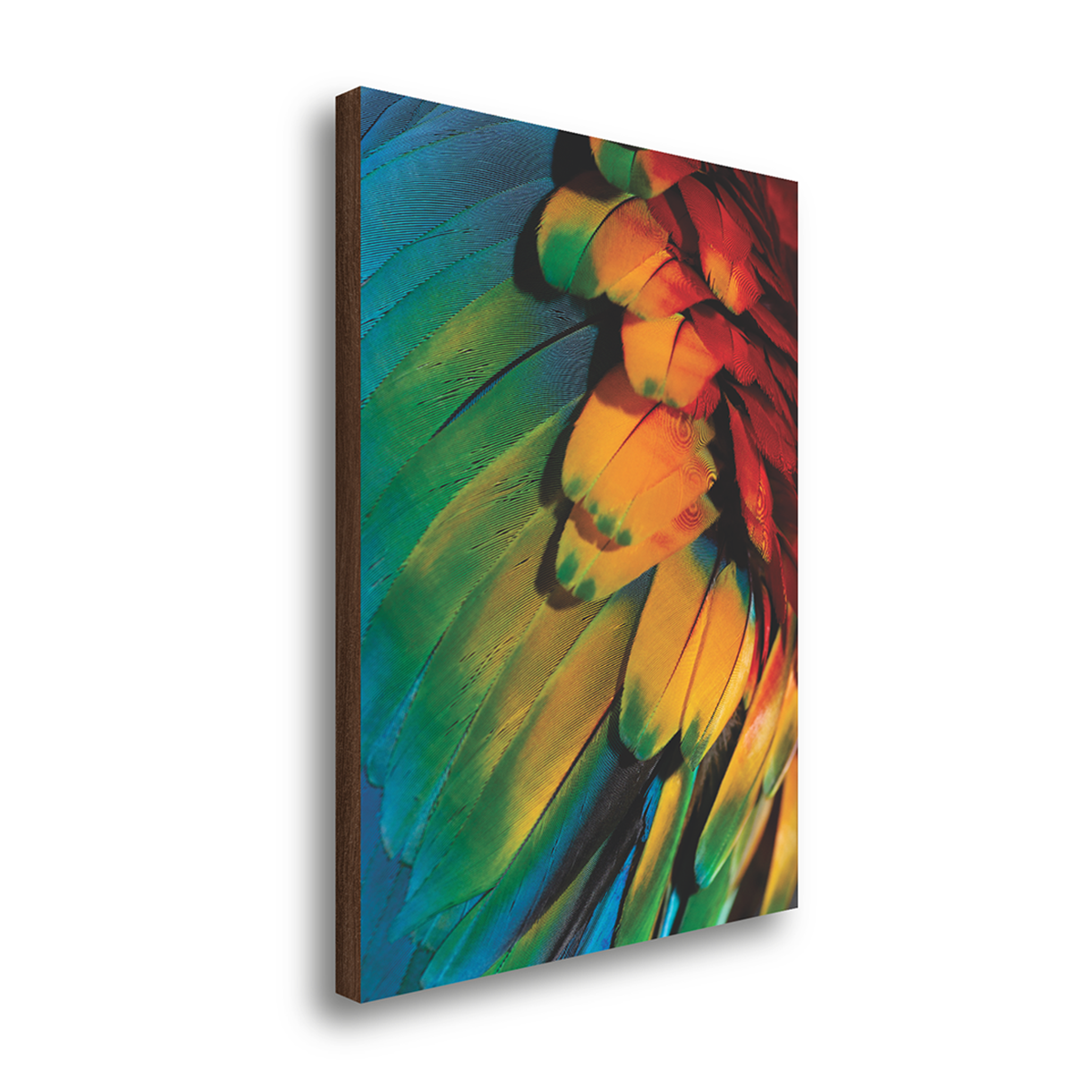 quadro decorativo assas coloridas 50x70cm