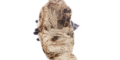 figura decorativa resina wolff rosto sabio mizaru m3