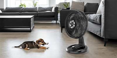 ventilador de mesa parede britania maxx force 170w preto m3