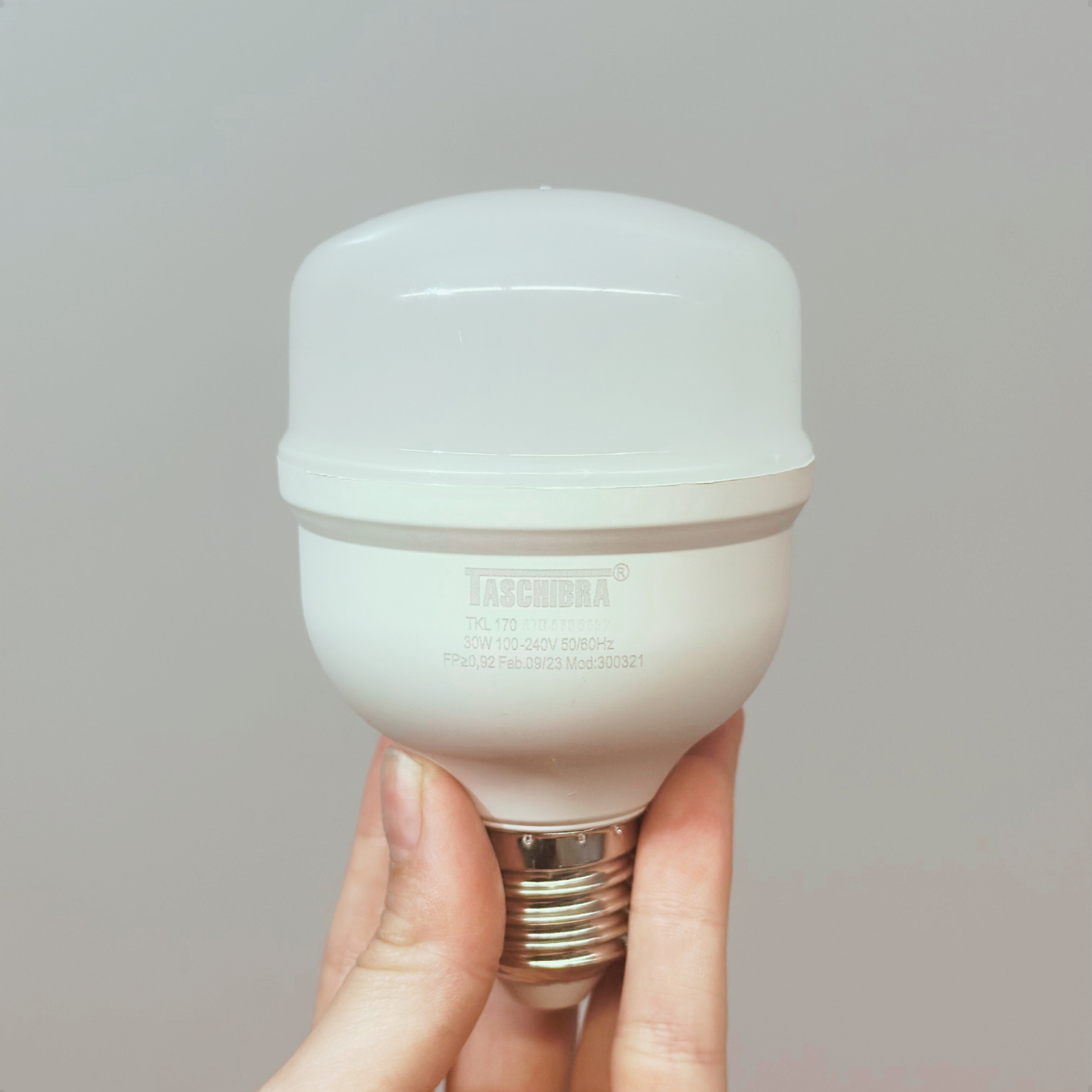 lampada-high-led-30w-bivolt-